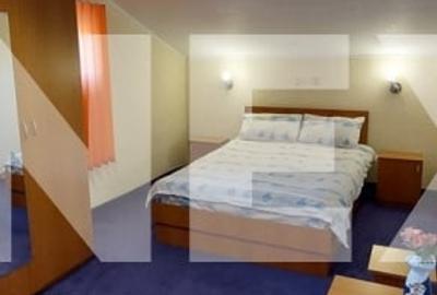 Vila de vacante cu prieteni in 9 camere si teren generos in Arges - 8