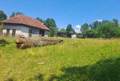 Casa de vanzare la tara cu gradina adiacenta PRET NEGOCIABIL - 5