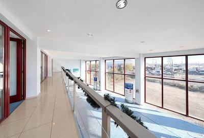 Sediu Firma - Showroom - 12