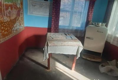 Casă cu 3 camere cu Teren 1000 Mp în Lăpuș - 4