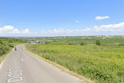 Teren de vanzare in Paleu - Saldabagiu la asfalt, gaze si electricitate - 2