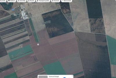 Teren agricol Puiesti ID: R2116028 - 5