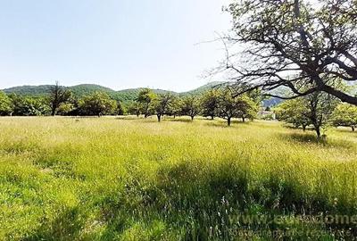 Teren superb in Bran la 5 min de Castel, 37 euro/mp. - 2