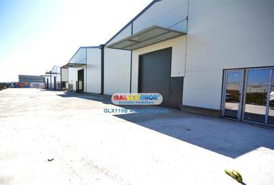 Spațiu comercial, de 565 mp, în Afumați - 6