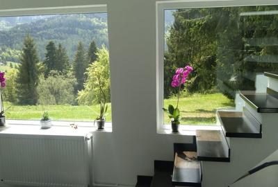 Casă cu 2 camere în Piatra - 4