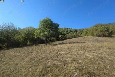 Teren de 1274 mp, în Criș - 4