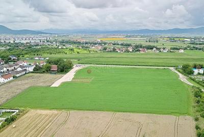 Teren Industrial - 24