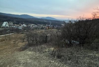 Teren Construcții intravilan de 2000 mp, în Est - 5