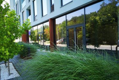 Apartament cu 2 camere decomandat, mobilat în Mogoșoaia - 7