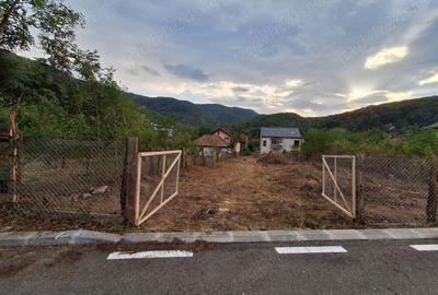 Teren de 569 mp, în Căciulata - 8