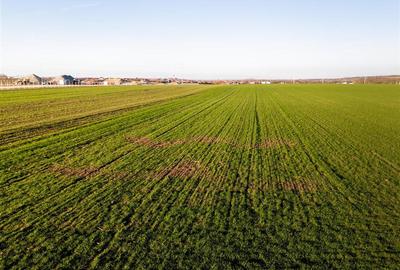 Teren intravilan de 5500 mp, în Biharia - 2