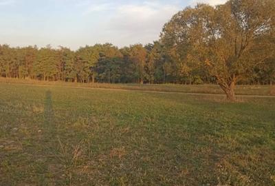 Teren de 1500 mp, în Periferie - 6