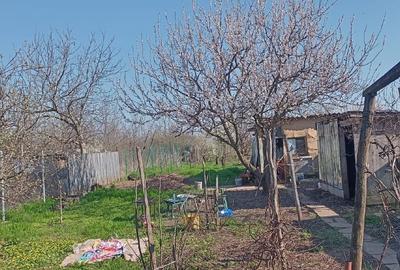 Casă individuală cu 3 camere cu Canalizare în Lilieci - 3