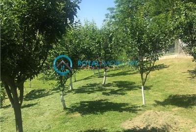 Casă individuală cu 2 camere cu Teren 1380 Mp în Teișani - 8