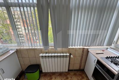 Apartament cu 3 camere decomandat în Brazda lui Novac - 11