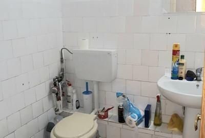 Obor, Colentina, Teiul Doamnei, Brasoveni  se acc studenti - 19