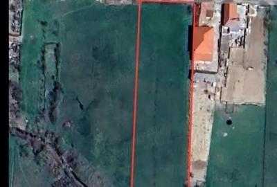 Teren la intrare Alparea - 3