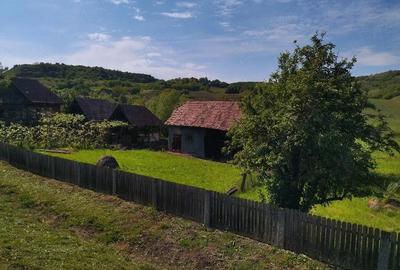 Casă cu 3 camere cu Teren 2900 Mp în Moișa