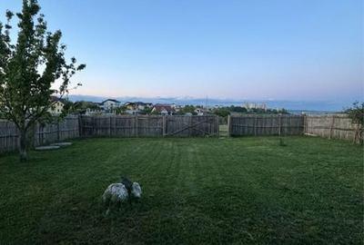 Casă cu 4 camere în Radu Negru - 2