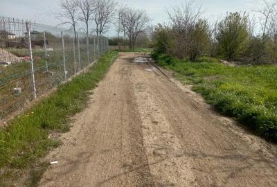 Teren de 5000 mp, în Afumați - 3