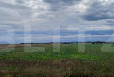 Teren de 21750 mp, în Botizului