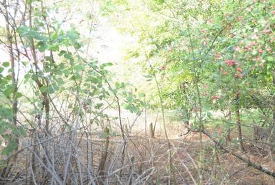 Teren intravilan Brasov-Schei - 9