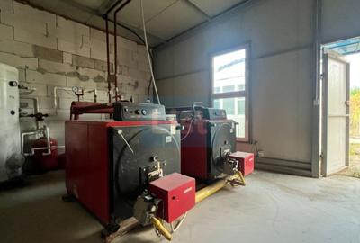 Casă cu 10 camere cu Teren 3883 Mp în Calea Caransebeșului - 3