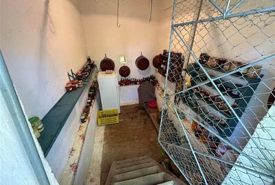 Casă individuală cu 2 camere cu Teren 1501 Mp în Birda - 12