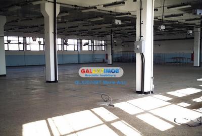 Oportunitate: Spatiu Industrial P 1E 3.900 mp. cu 7.300 mp. - 2