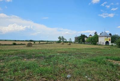 Judetul Prahova, in Poienarii Burchii, conac neoromanesc si teren 2.800 mp - 3