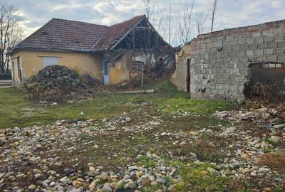 Casă individuală cu 4 camere cu Teren 6700 Mp în Gelu - 8