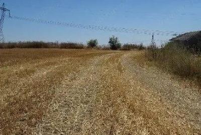 Teren extravilan Cernavoda, ID: R2755634 - 1