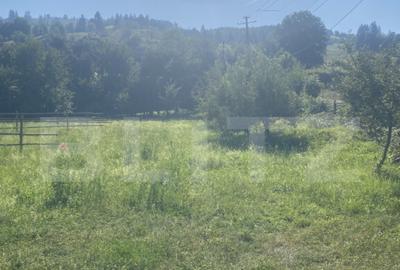 Teren in Doroteia, Plutoni?a, 3880 mp, intravilan - 2