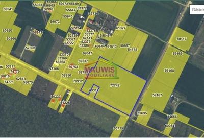 Vanzari Terenuri ILFOV - SUD VARTEJU - 3