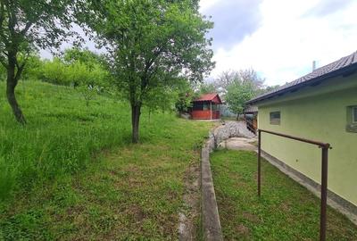 Casă + Anexă pe teren de 1.200 m² în Berislăvești, județul Vâlcea - 12