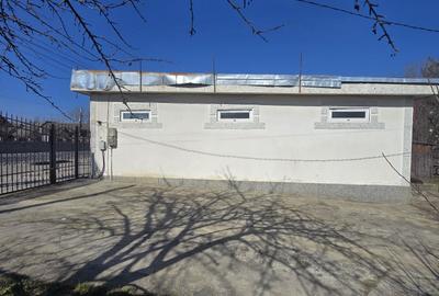 Spațiu comercial, de 70 mp, în Argeșelu - 2