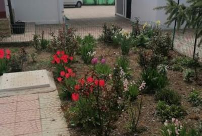 Casă individuală cu 3 camere cu Teren 1400 Mp în Corbu - 13