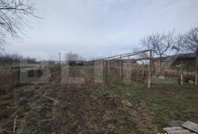 Casă cu 3 camere cu Teren 1300 Mp în Șintereag - 6