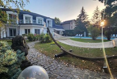 Vila individuala, teren 3000 mp, Iancu Nicolae - 32