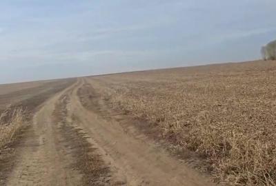 Teren Agricol 2 Ha - Becicherecu Mic (Zona Fornetti) - Acces Betonat - 3