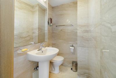 Apartament cu 6 camere decomandat, mobilat în Unirii - 12