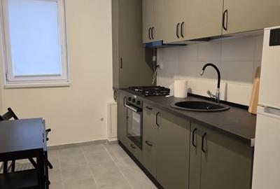 Apartament 2 camere, 60mp, pet-friendly, centrala, metrou, 1 Decembrie - 5