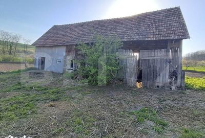 Casă cu 4 camere cu Teren 15000 Mp în Bichiș