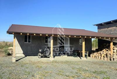 Fermă cu casa, zero comision, in Horia - 7