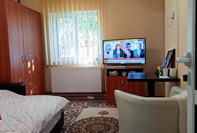 Casa Goranu lespezi - 10