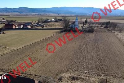 Casă cu 3 camere cu Teren 2407 Mp în Peteni - 9
