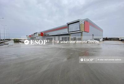 Spațiu industrial, de 3,000 mp, în Dragomirești-Deal - 5