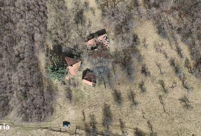 Teren de 24253 mp, în Bran - 13