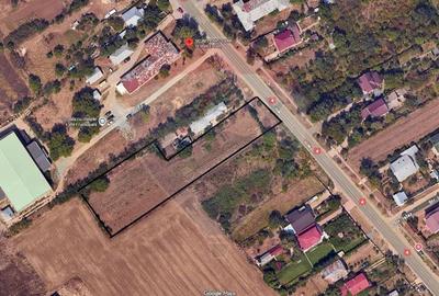 Teren extravilan de vanzare in Frumusani, acces direct DN4 - 2