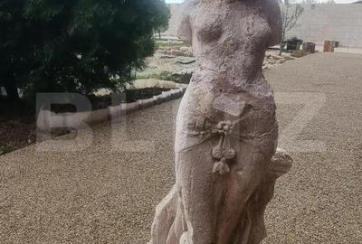 Proprietate multifunctionala,VILA,Teren 28000 mp+afacere piscicultura functionla - 9